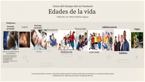 Línea de tiempo mostrando cambios visuales por edad